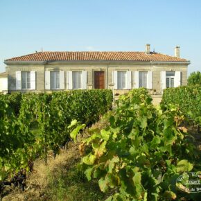 Château Vieux Nodeau