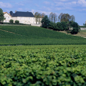 Chateau du Bousquet