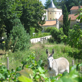 Château La Grolet