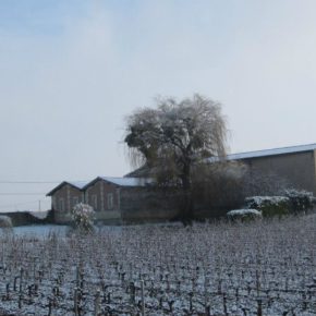 Château Guionne