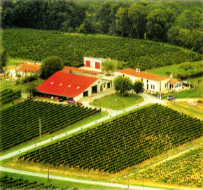 Château La Tenotte