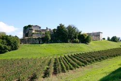 Château de Thau