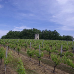 Château Tour des Graves